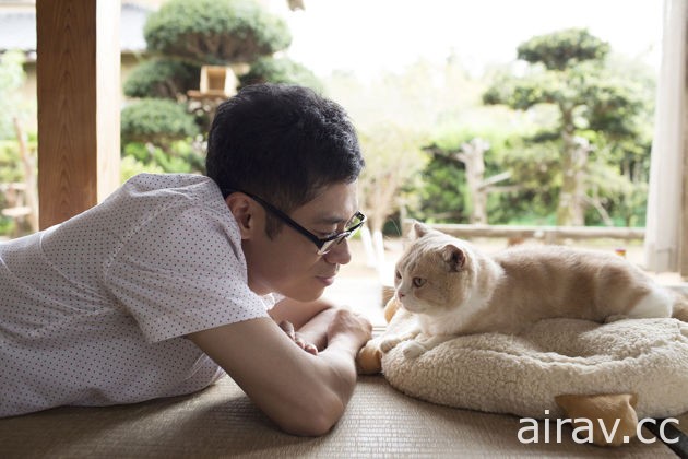 《貓咪收集》真人版電影將於明年上映 由《電車男》伊藤淳史主演
