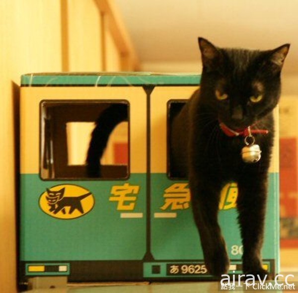 超萌《黑猫宅急便》真的聘用了猫咪送货员了吗！？