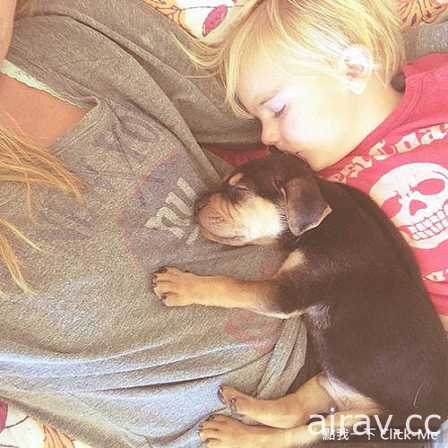 萌翻天！狗狗与宝宝的午睡时间，互相依偎超有爱！