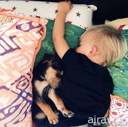 萌翻天！狗狗与宝宝的午睡时间，互相依偎超有爱！