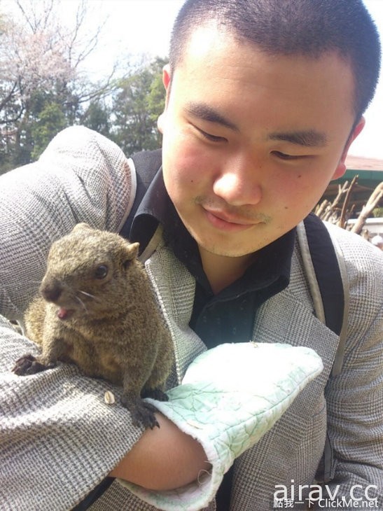 治愈系小动物王国登场！日本“松鼠花园”让所有游客萌到流鼻血！