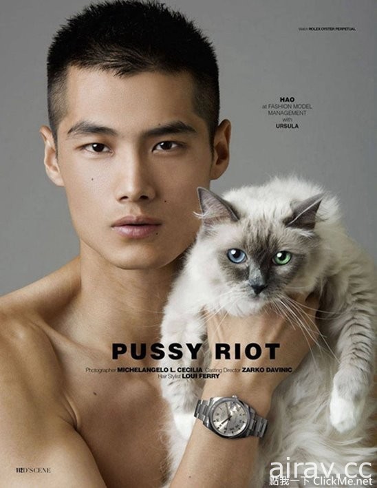 《男模與貓》你的目光會是放在男模特兒還是美貓身上呢？