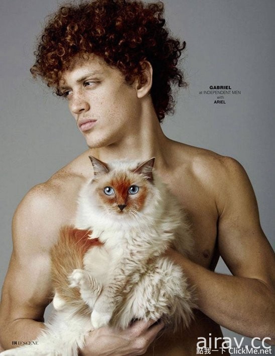 《男模與貓》你的目光會是放在男模特兒還是美貓身上呢？
