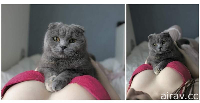 青山裕企《猫咪与欧派写真书》好想当那只猫~好想好想❤❤❤