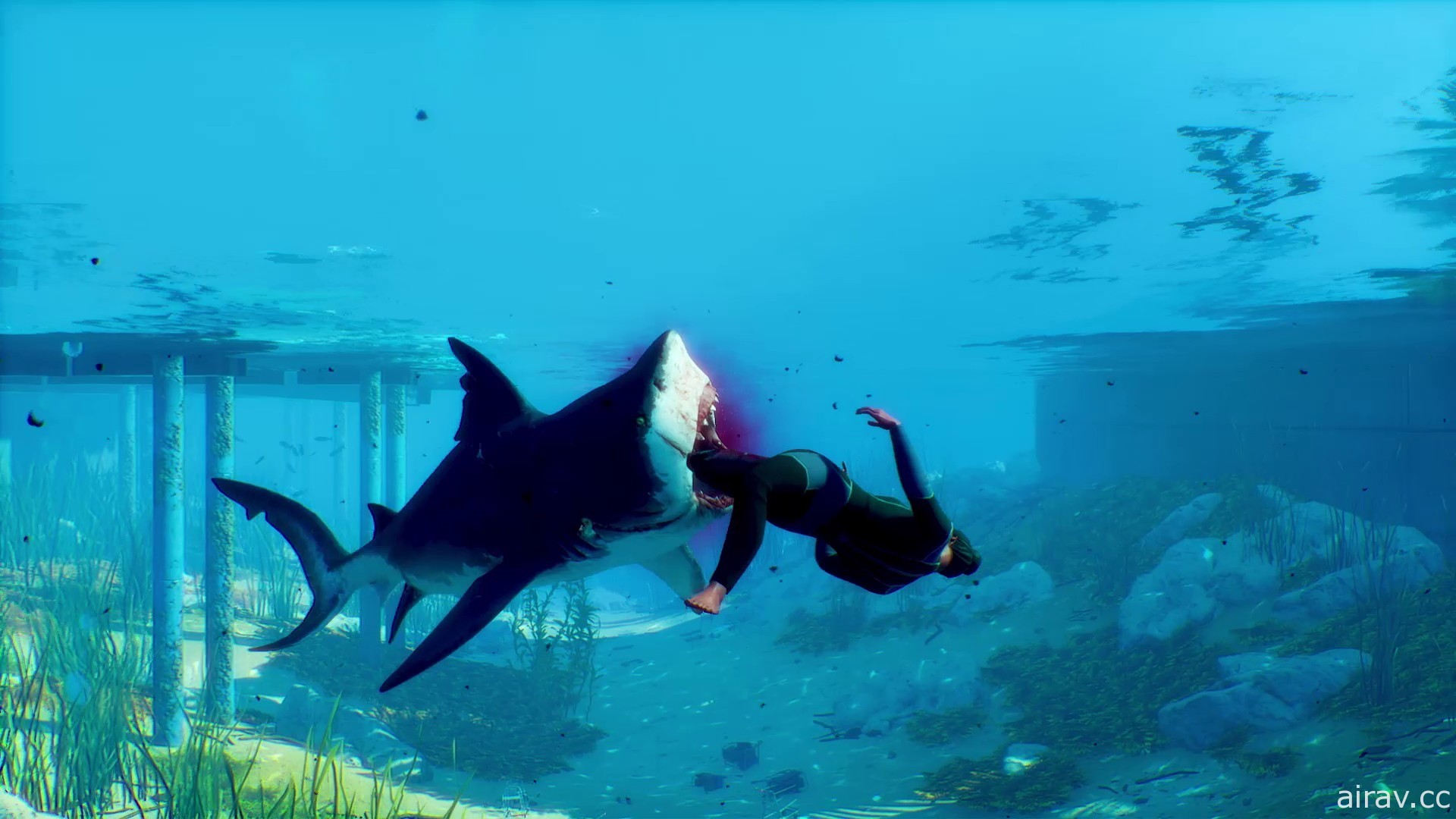 《食人鯊 Maneater》繁體中文版即將登陸 PS5 / PS4 / NS 平台