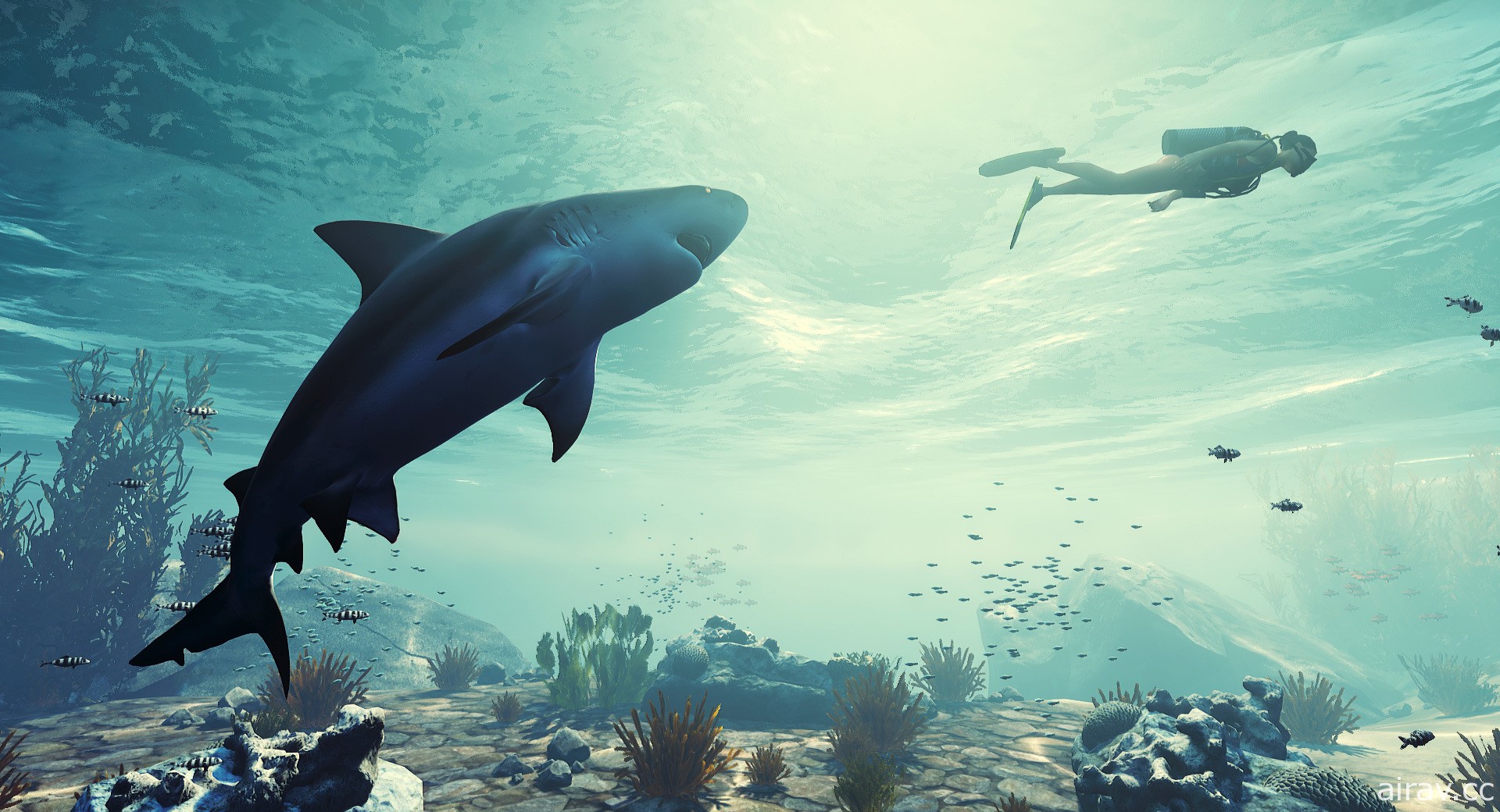 《食人鯊 Maneater》公開中文版開發者日記 加碼 PS5 及 PS4 版預購特典
