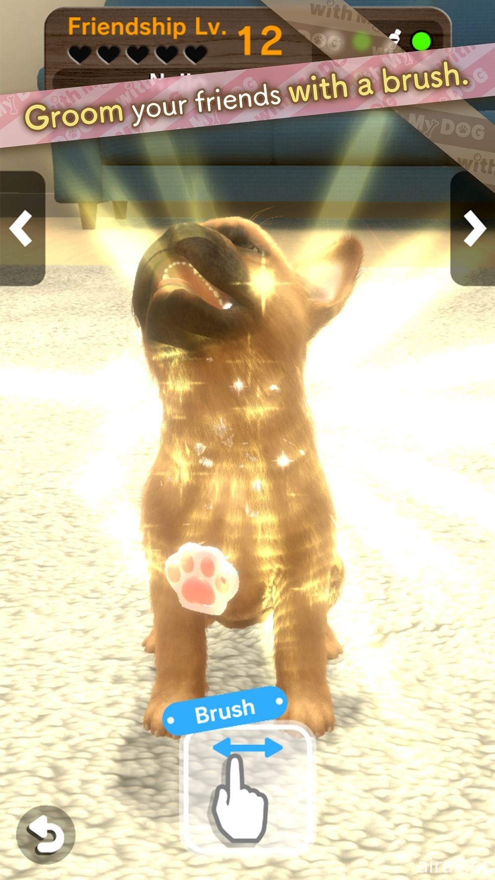 模拟游戏《with My DOG》推出 体验与可爱小狗一起生活