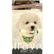 模拟游戏《with My DOG》推出 体验与可爱小狗一起生活