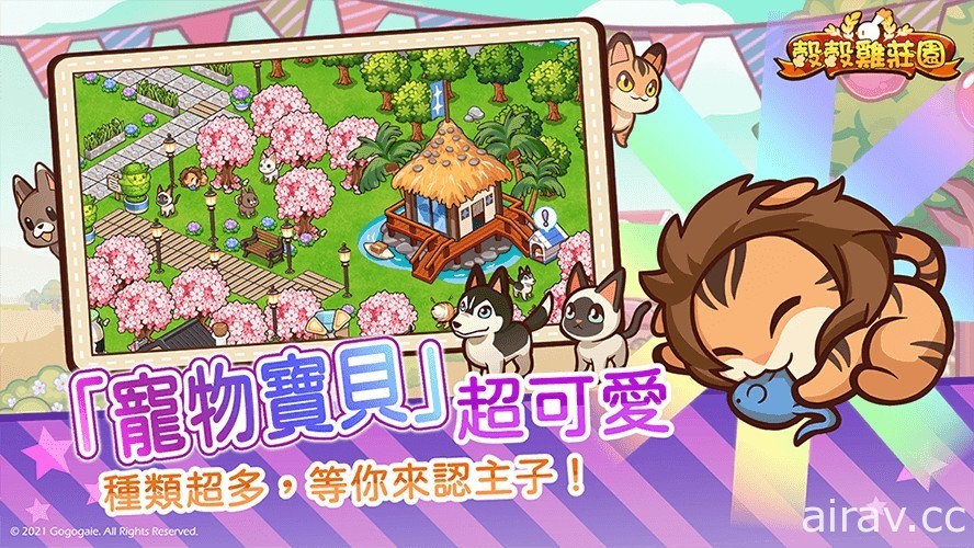 农场养成游戏《谷谷鸡庄园》将于 3 月正式公测 释出部分游戏资讯