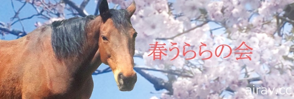 課金的力量？《馬娘 漂亮賽馬》粉絲捐款湧入日本退役馬協會 協助退休馬兒安度餘生