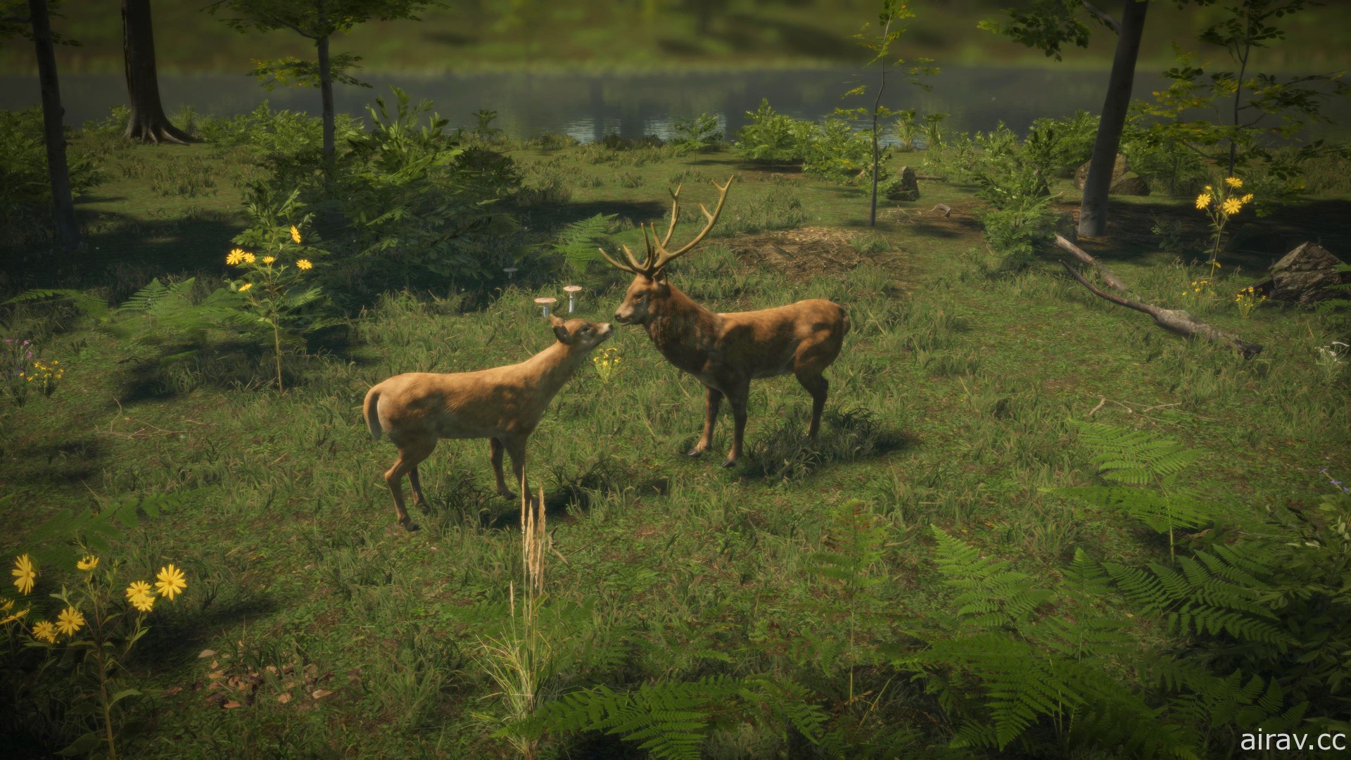 《自然本能 Natural Instincts》7 月問世 透過遊戲體驗保護野生動物