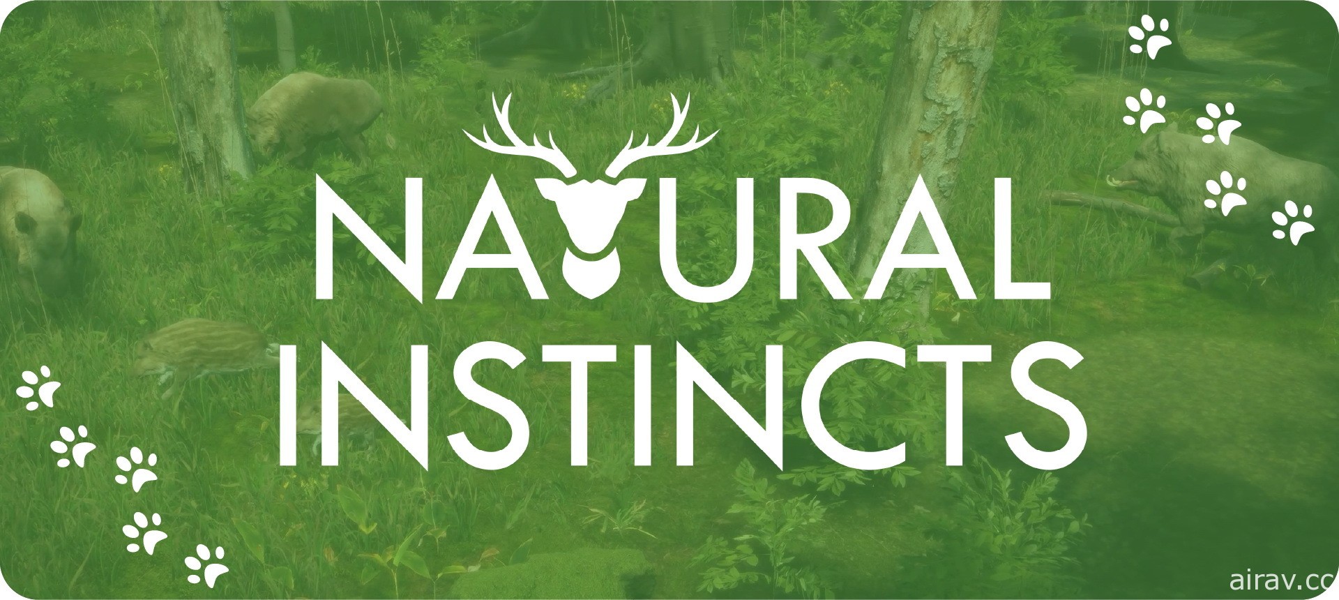 《自然本能》展开抢先体验 深入森林繁殖野生动物并尽力维持生态平衡