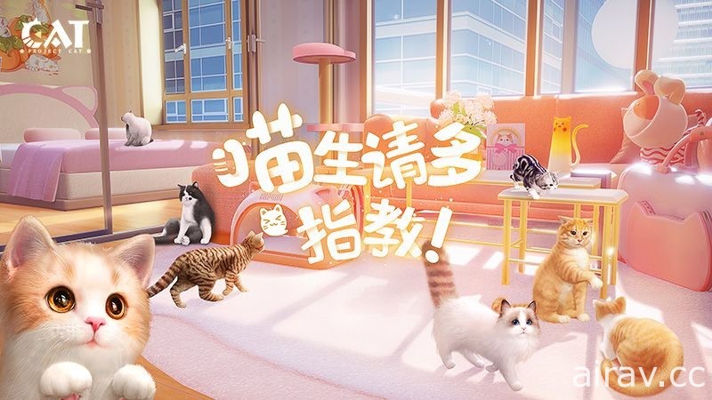 【CJ 21】西山居研发猫咪养成游戏《Project Cat》曝光 将在展会现场打造巨型猫爬架