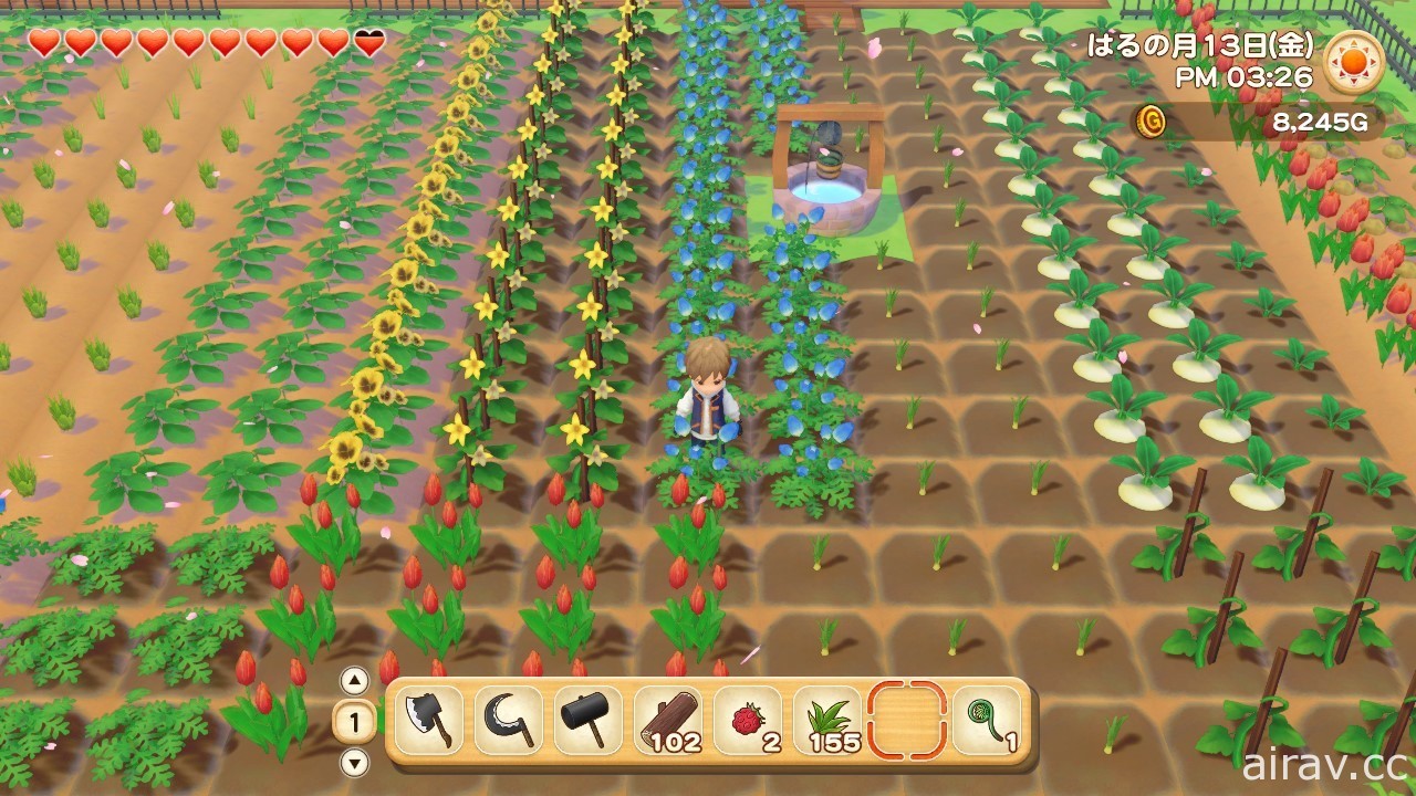 《牧場物語 橄欖鎮與希望的大地》×「天穗之咲稻姬」合作 DLC 今日起限期免費發布