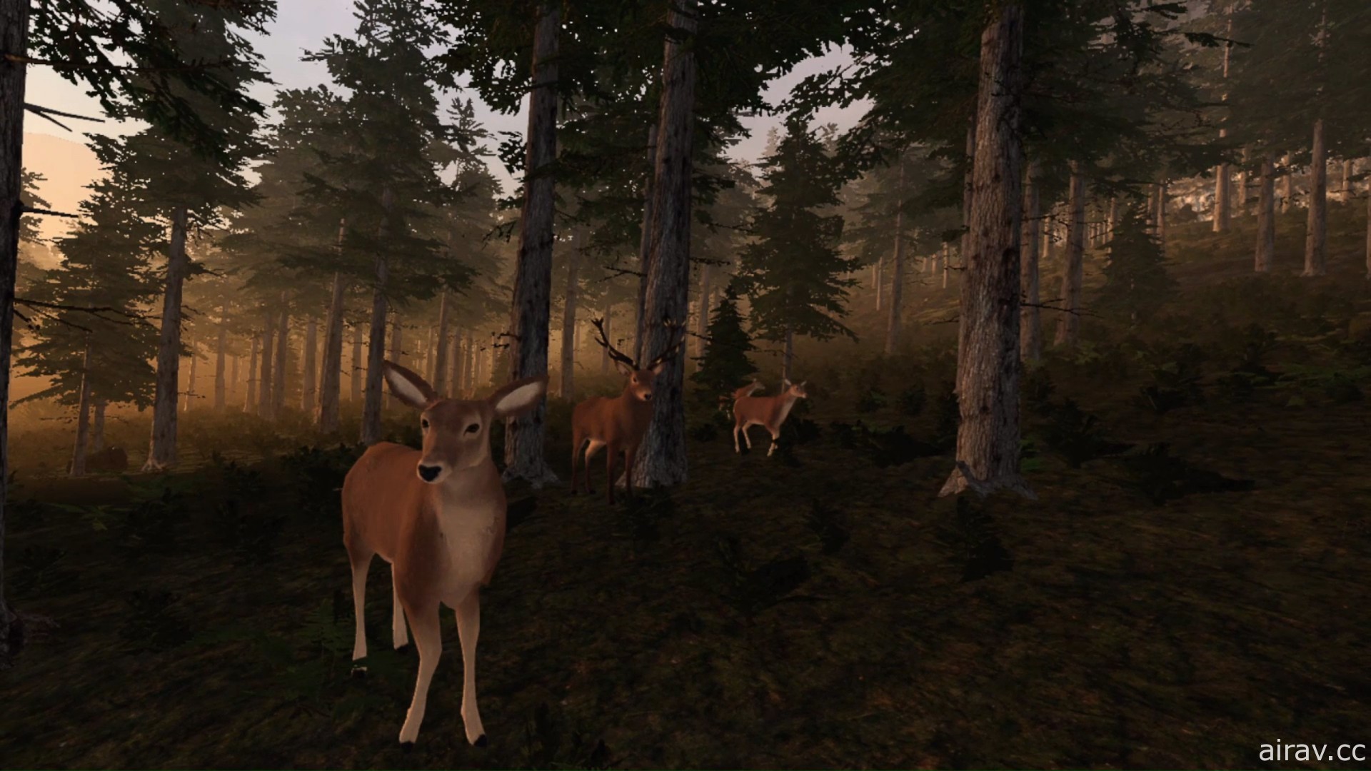 VR 新作《虚拟猎人》曝光 体验在广阔荒野上狩猎！