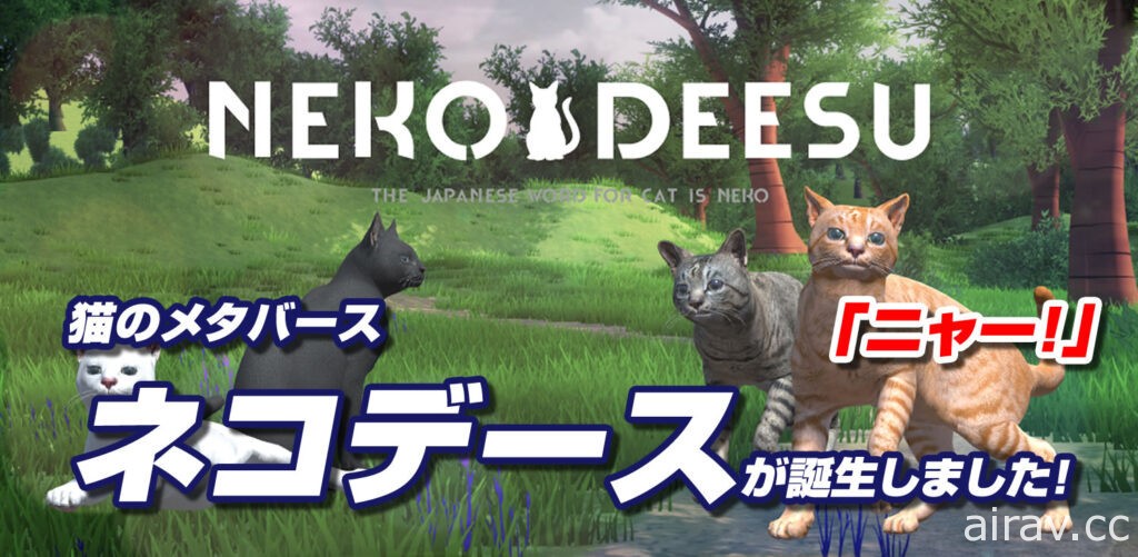 貓的元宇宙《Neko Deesu》於手機平台推出 化身貓咪體驗爭奪玩具球的樂趣